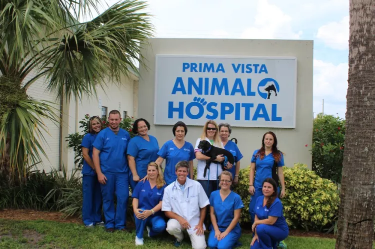 Prima Vista Animal Hospital, Florida, Port Saint Lucie
